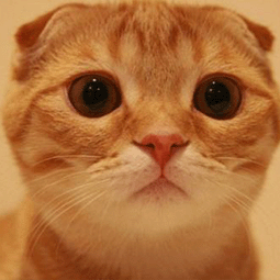 i7加速器服务器官网注册